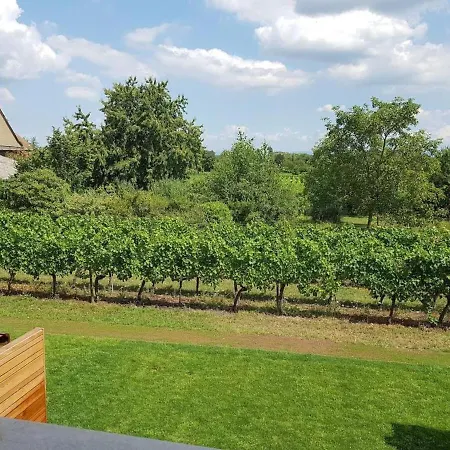 בית נופש Clos Des Vignes הונוייר