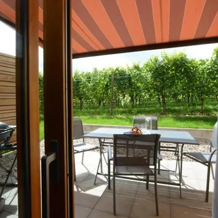 בית נופש Clos Des Vignes הונוייר